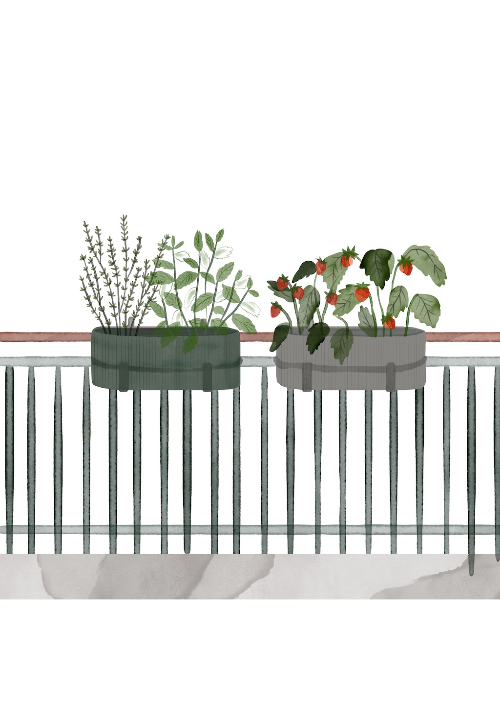 Illustration, Bau Balkonkasten mit bienenfreundlicher Bepflanzung