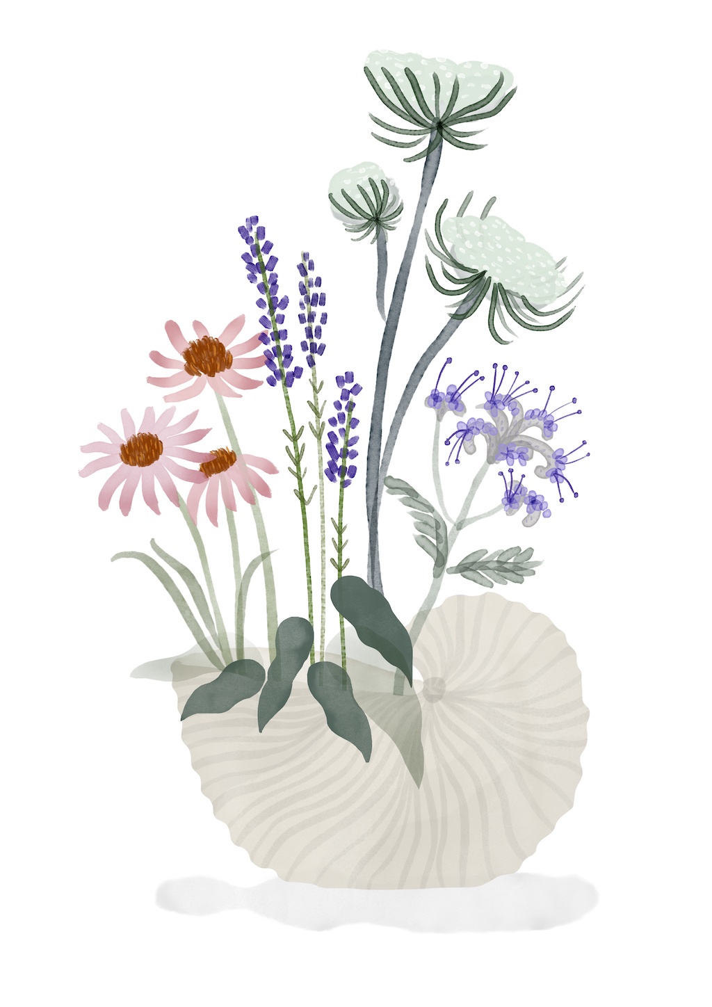 Illustration, Outdoor Plant Guide, Shell Blumentopf, ferm LIVING