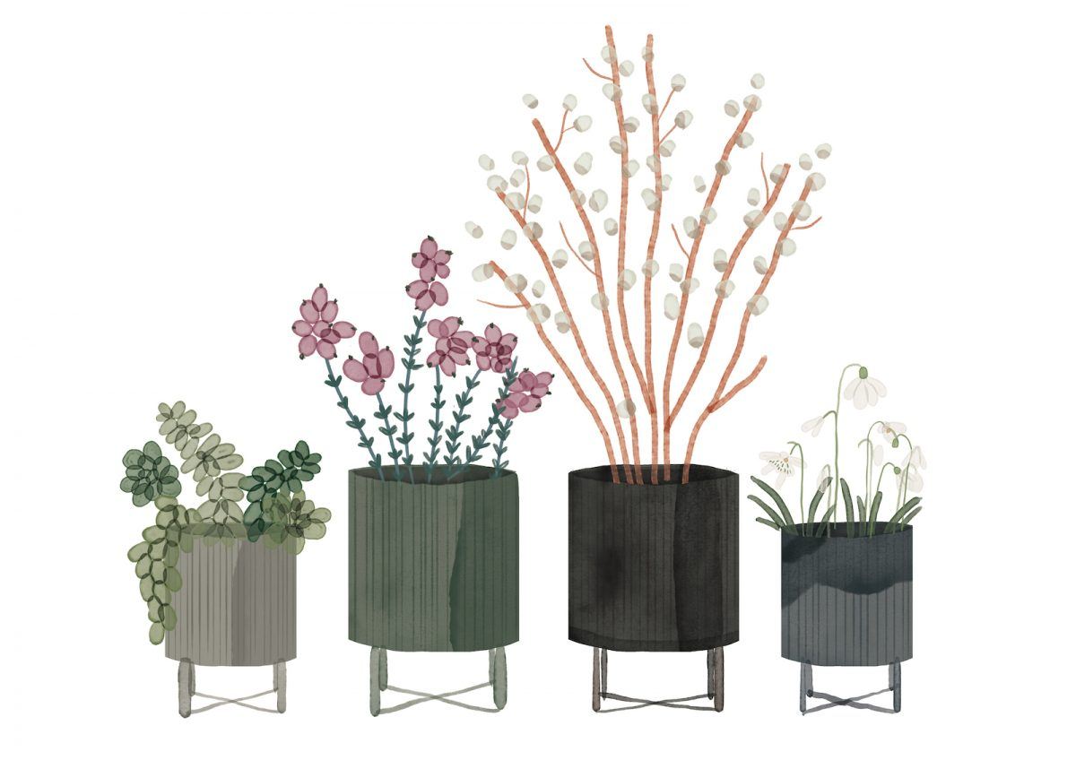 Illustration, Outdoor Plant Guide, Bau Pflanztöpfe von ferm LIVING, Schneeglöckchen