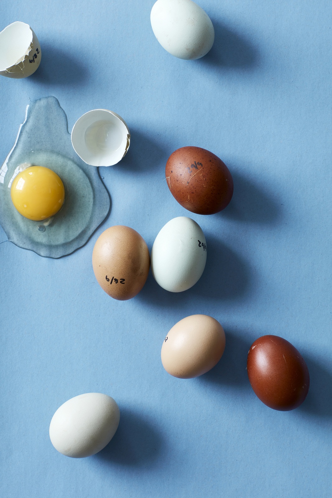 Ei, ei, ei - 4 Osterdekoideen. Braune und weiße Eier auf blauem Grund, ein rohes Ei nebst Schale links oben. 